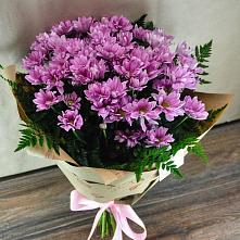 Букет цветов из:  Хризантемы #REPLACE_PRED# Нижнесортымском