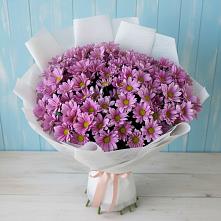 Букет цветов из:  Хризантемы в Нижнесортымском