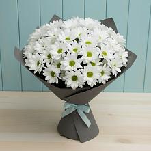 Букет цветов из:  Хризантемы #REPLACE_PRED# Нижнесортымском