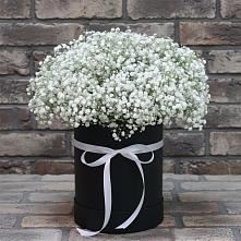 Цветочная композиция из Гипсофила в шляпной коробке в Нижнесортымском
