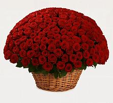 Премиум букет из: Розы #REPLACE_PRED# Нижнесортымском